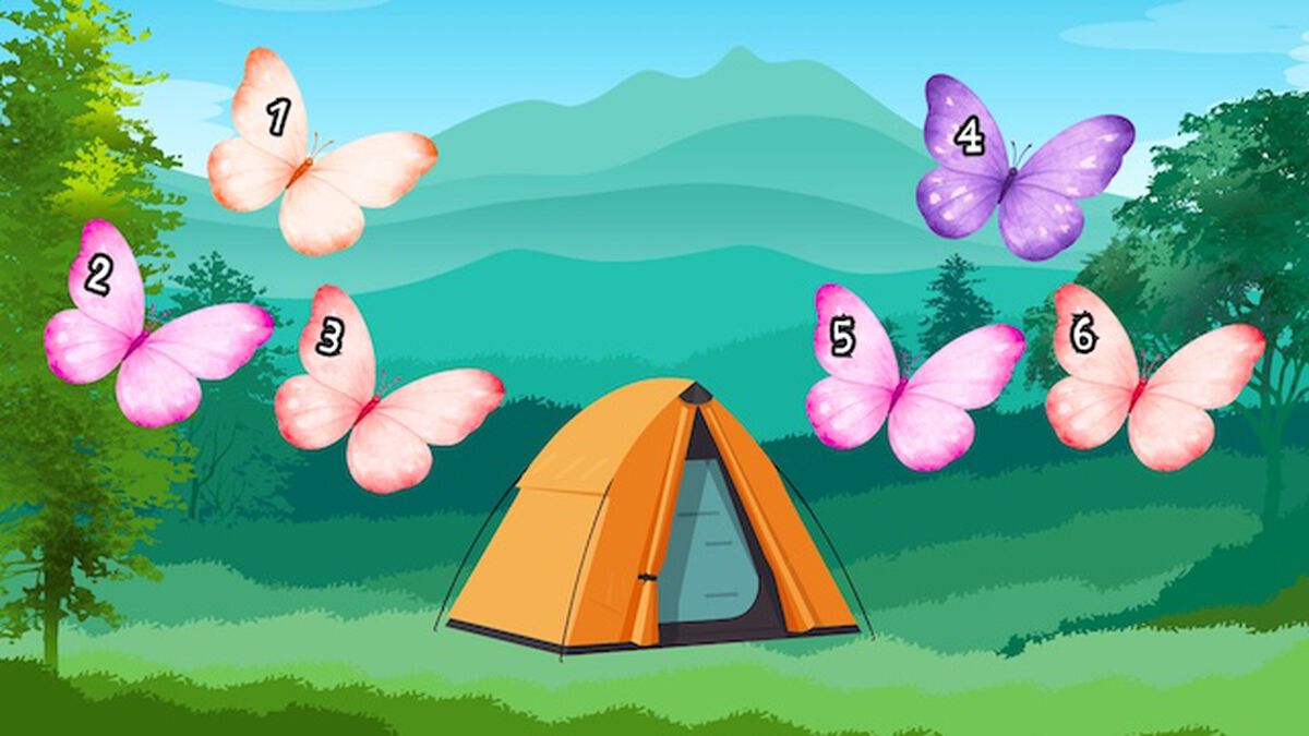 Bears VS Butterflies image number null
